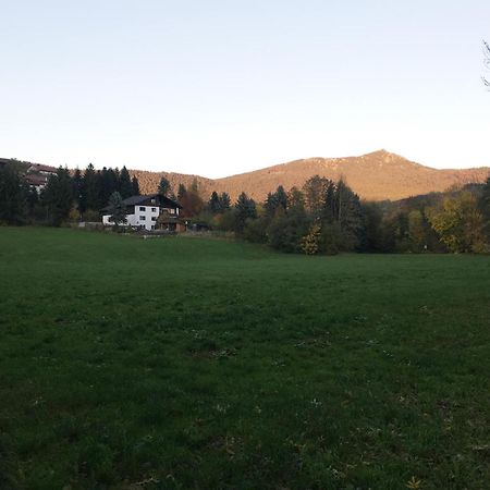 Ferienwohnung Traummichel Lam Exterior foto